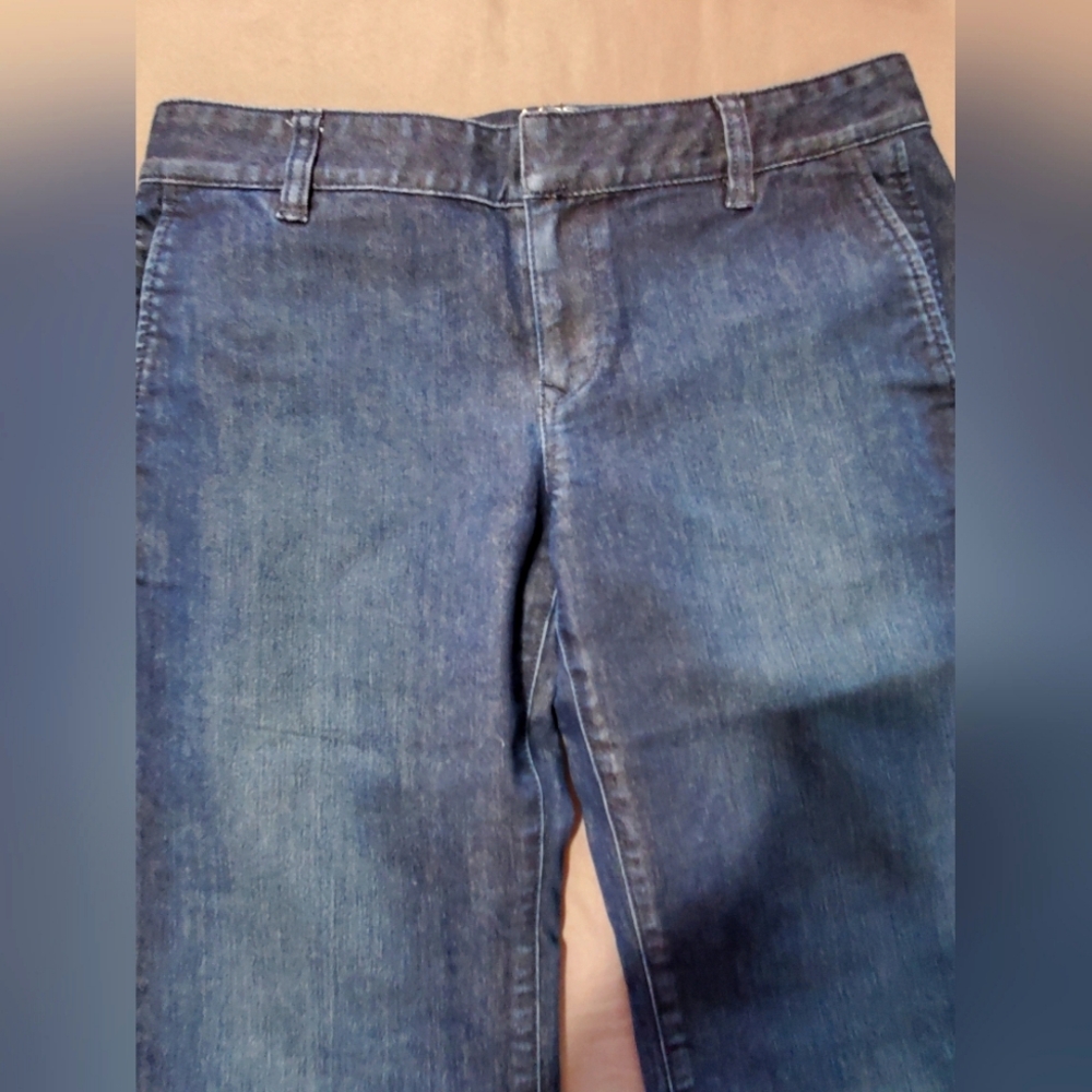 Blue Denim, Loft Designer Flare Jeans